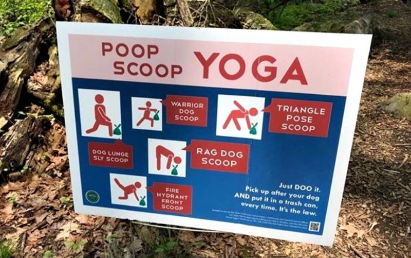 Poop Scoop Yoga