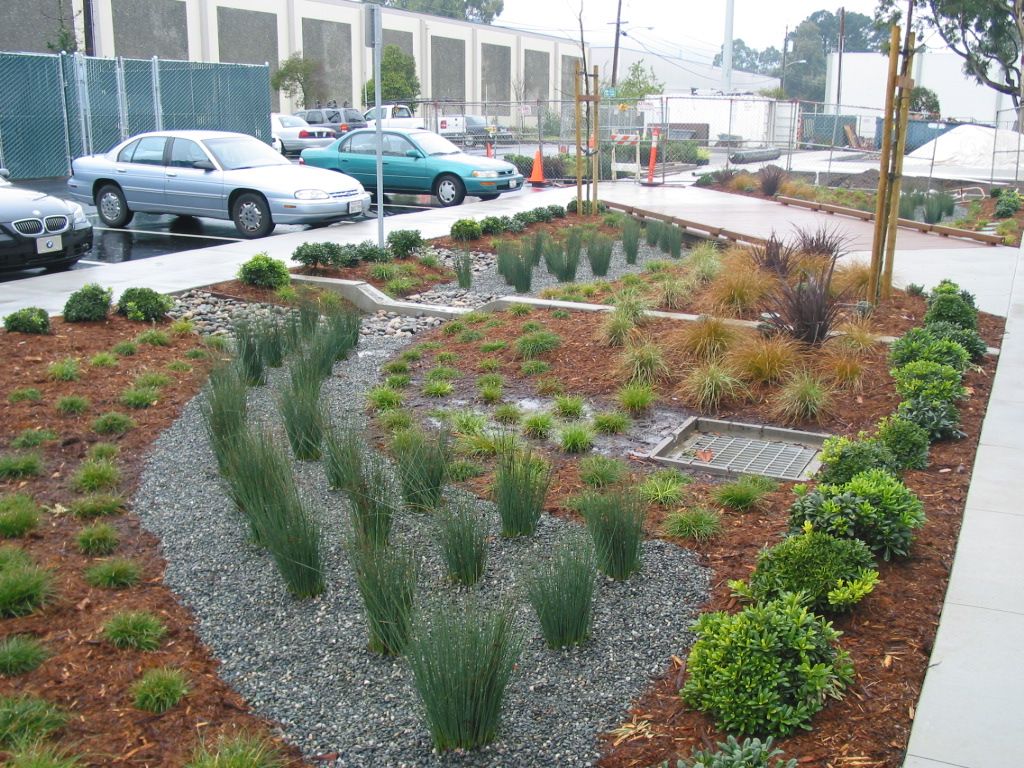 parking lot with stormwater-smart landscaping elements to capture and clean stormwater runoff
