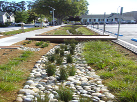 3 rows of little green plants, 2 of them have dirt around the plant and the other row has rocks surrounding the green plants; small bridge across the 3 rows; parking lot on right; sidewalk on left
