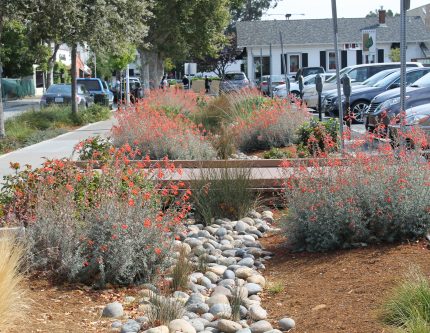 Green Infrastructure example in San Mateo County