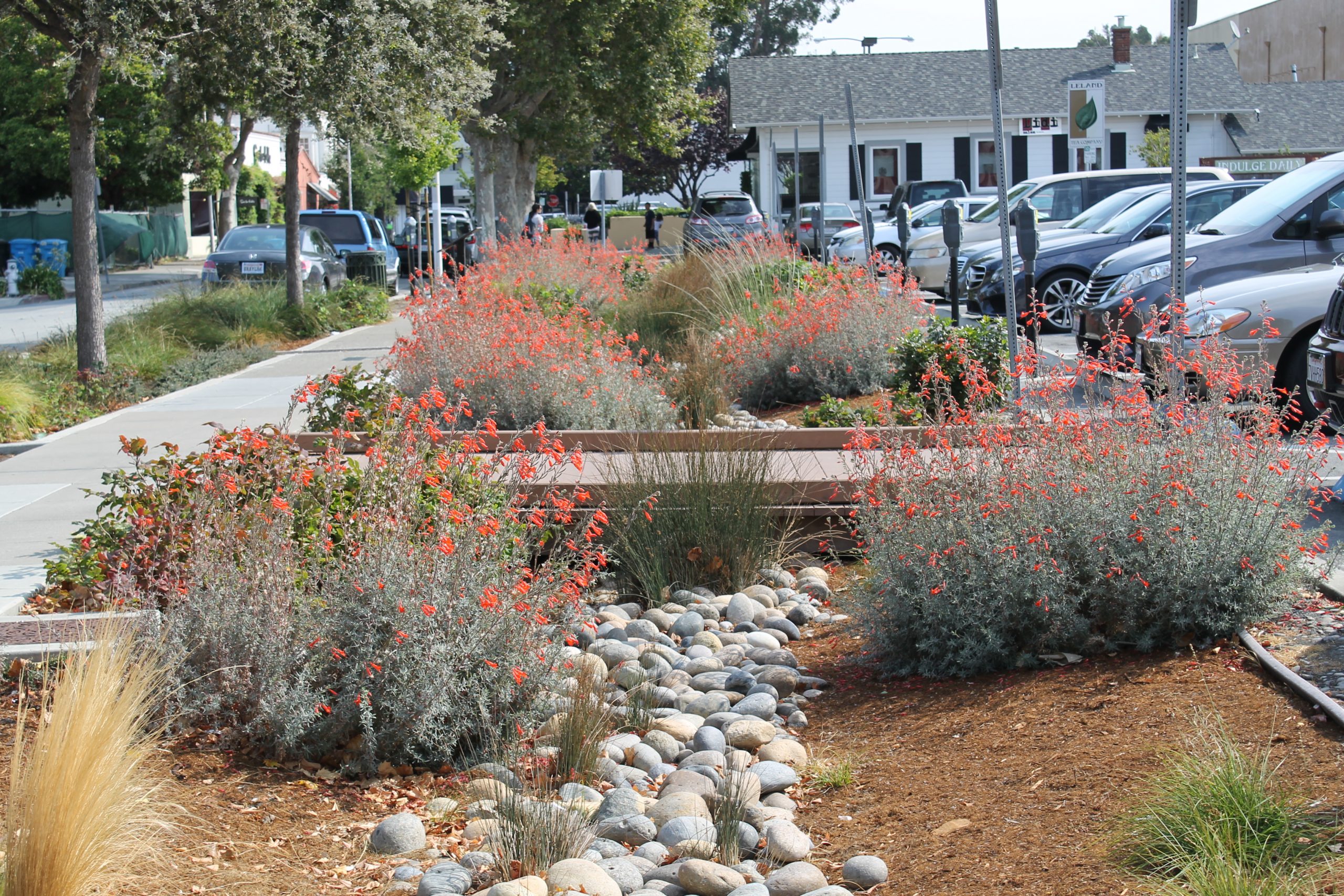 Green Infrastructure example in San Mateo County