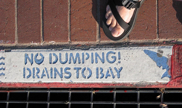 No Dumping Drains To Bay