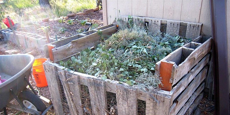 wooden bin with yard scraps in it to be used for composting; garden in the back on the left