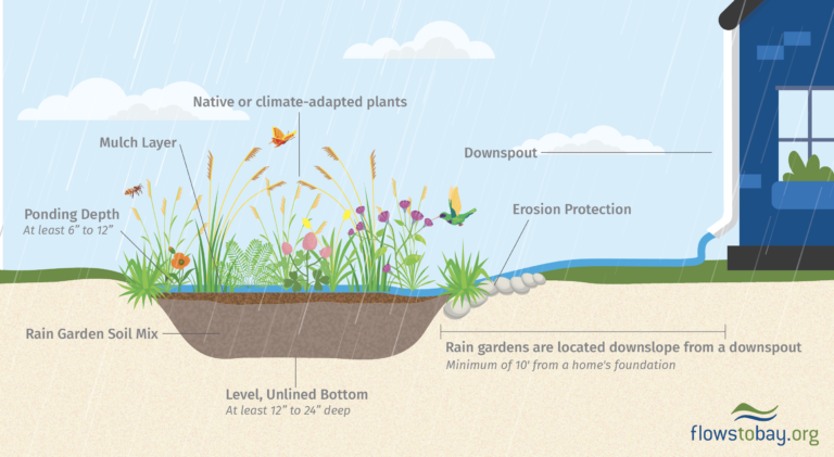 Rain Gardens Rebate Program Flows To Bay